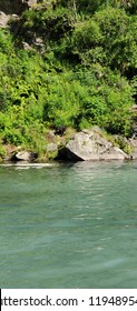 Black Bear At Wolverine Creek, Alaska