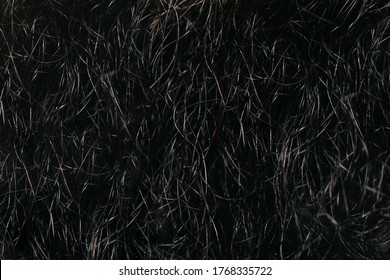 Black Beard Texture. Hair Background.