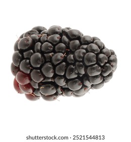 black berry in white background 