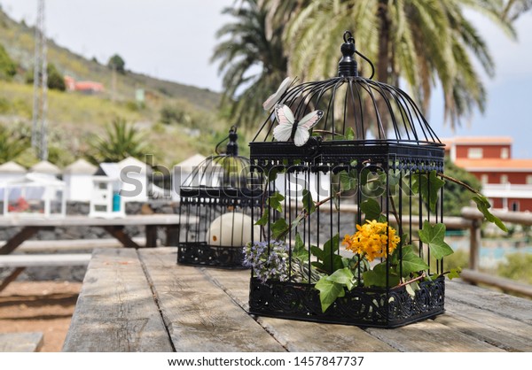 Black Bird Cages Decorating Yellow Flowers Stock Image Download Now