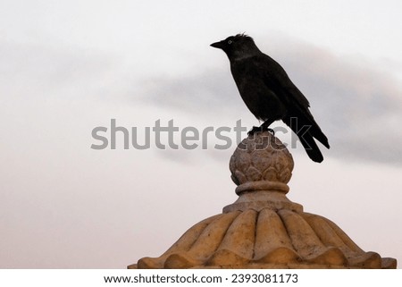 A black bird is perched on a stone finial against a cloudy sky.