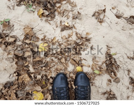 black boots on a sandy beach among brown dry autumn leaves