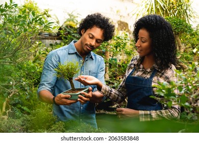 black botanist explaining to client about bonsai at plant nursery - Powered by Shutterstock