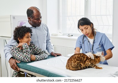 Black Boy And His Grandpa Watching Professional Vet Palpating Their Bengal Cat During Medical Check Up