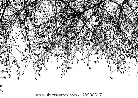 black branches gradient on white