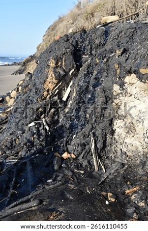 Black bubbling tar oozing down a rock sea cliff in California.