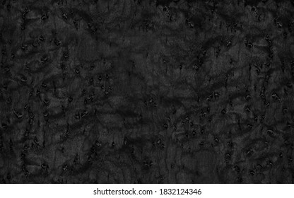 Black Burl Wood Texture High Resolution