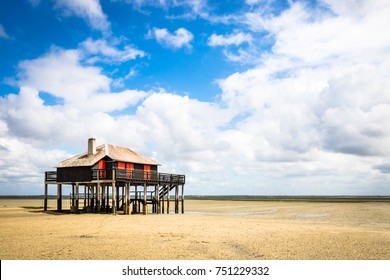 Black Cabane Tchanquée In Arcachon