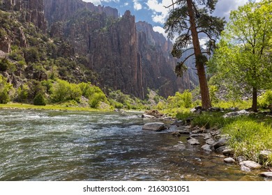 The Black Canyon of the Gunnison stands tall as a river cuts through the lush green landscape in Colorado