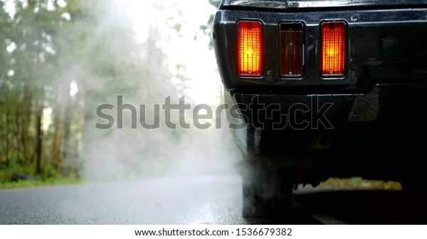 black car stands and emits smoke slow motion close\
back view
