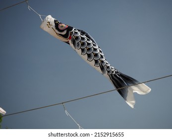 Black Carp Streamer Swimming In The Blue Sky