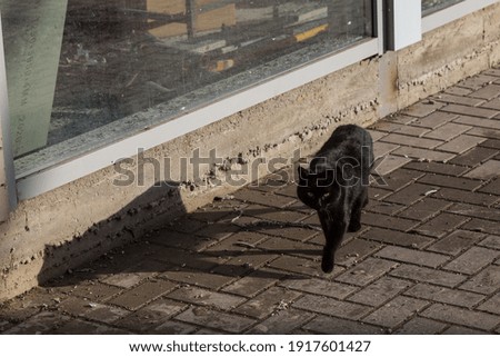 Similar – Image, Stock Photo Cross on the road from Dingl, Northern Ireland