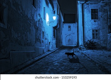 Black Cat Crosses The Deserted Street At Night