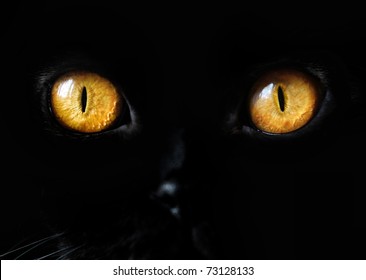 Black Cat Eye