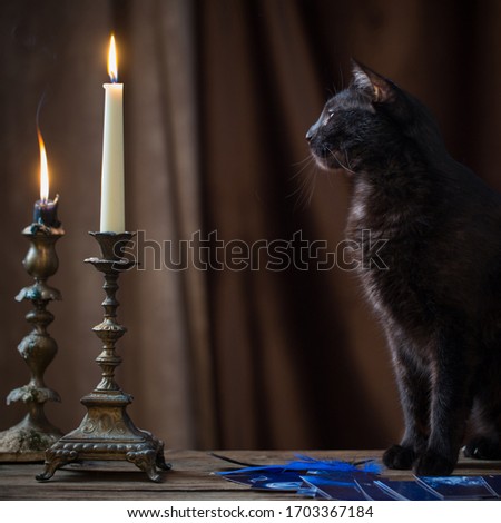 black cat, fortune-telling cards and burning candles on dark brown background
