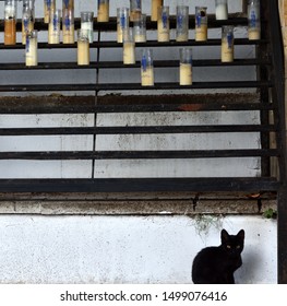 A Black Cat In Front Of A Staircase With Candles In The Hermitage Of Santa Lucia In Jaén Spain