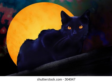 Black Cat With Full Moon