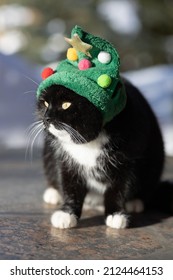 A black cat in a green herringbone hat on the street. Selective focus.