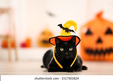 Schwarze Katze auf halbem Hut auf dem Boden