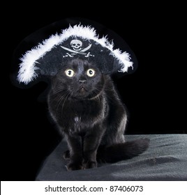 a black cat in a hat