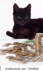 Black Cat Money Images, Stock Photos 