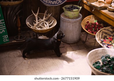 Black Cat Random Objects Light
