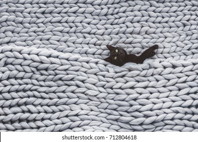 Black cat relaxing on knitted woolen chunky blanket. Funny kitty in the warm soft bed. Scandinavian style, hygge, cozy concept. - Powered by Shutterstock