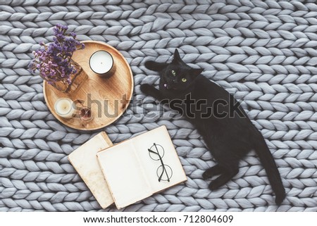 Black cat relaxing on knitted woolen chunky blanket. Book and wooden tray with home decor on the warm soft bed. Scandinavian style, hygge, autumn weekend cozy concept.