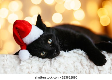 black-cat-santa-hat-sitting-260nw-523922890.jpg