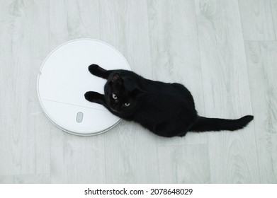 A Black Cat Sits On A White Robot Vacuum Cleaner On The Floor In The Room. View From Above.