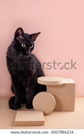 Black cat sitting near modern beige circle and square podium for product on pastel background. Advertising cube mockup. Empty pedestal for product. Vertical orientation, side view.