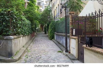 Black Cat In Small Street In  Old Paris