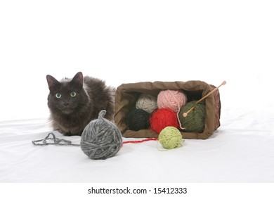 Black Cat Tipped Over Knitting Basket