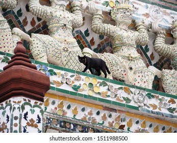 Black Cat At Wat Arun(Temple Of Dawn), A Buddhist Temple (wat) In Bangkok Yai District Of Bangkok, Thailand, On The Thonburi West Bank Of The Chao Phraya River.