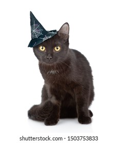 Black Cat With Witch Hat For Halloween. Isolated On White Background