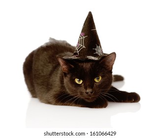 Black Cat With Witch Hat For Halloween. Isolated On White Background