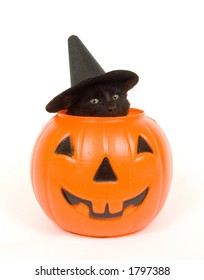 A Black Cat With A Witch Hat On Peeks Out Of A Plastic Jack O Lantern