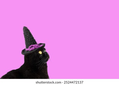 Black cat with yellow eyes in a black knitted witch hat on purple background with place for text. Concept of Halloween - Powered by Shutterstock