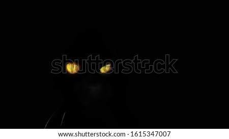 black cat with yellow eyes on a black background.