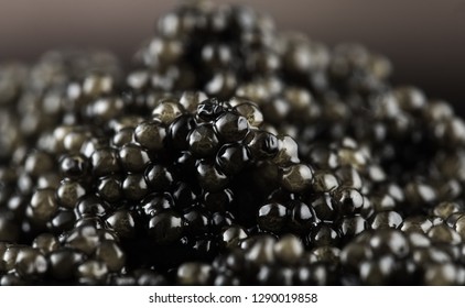 Black Caviar background. High quality real natural sturgeon black caviar close-up. Delicatessen. Texture of expensive luxury caviar. Backdrop. Seafood. Backdrop