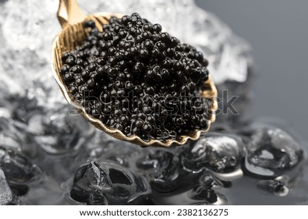 Black Caviar in golden spoon on ice. High quality natural sturgeon black caviar close-up. Delicatessen. Texture of expensive luxury caviar over gray background. 
