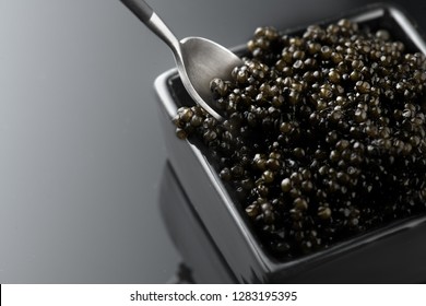 Black Caviar in spoon. High quality real natural sturgeon black caviar close-up. Delicatessen. Texture of expensive luxury caviar square dish on black