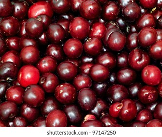 Black Cherry In The Background