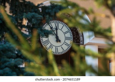Black clock hands on a large white dial 5 minutes to 12 o'clock on the wall of a house through green pine branches on the street