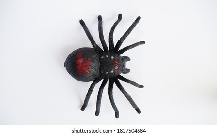 Black clockwork plastic toy spider on a white background, close up.?oncept of celebrating the day of the dead, Halloween.Top view, flat lay. - Powered by Shutterstock