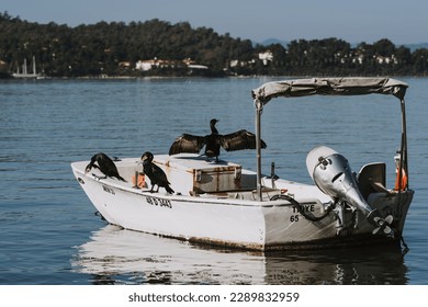 Black cormorant drying wings on motor boat. Postcard with view of Fethiye with space for text. - Powered by Shutterstock