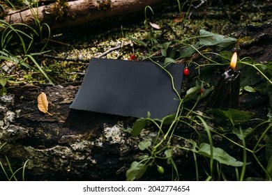 Black Craft Paper Mockup, Black Candle On Background Of Forest Magic Nature