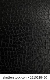 Black Crocodile Skin, Background, Texture.