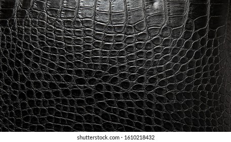 black crocodile texture