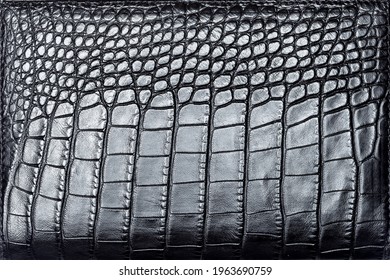 Black Crocodile Skin Texture Luxury Product Surface Pattern Close-up, Nobody.